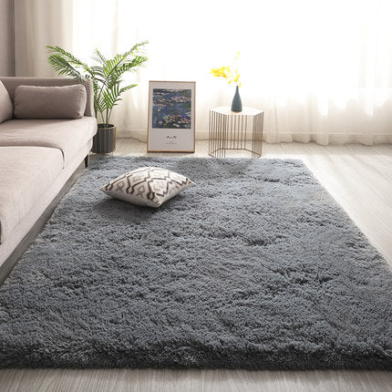 Furry Living Room Carpet